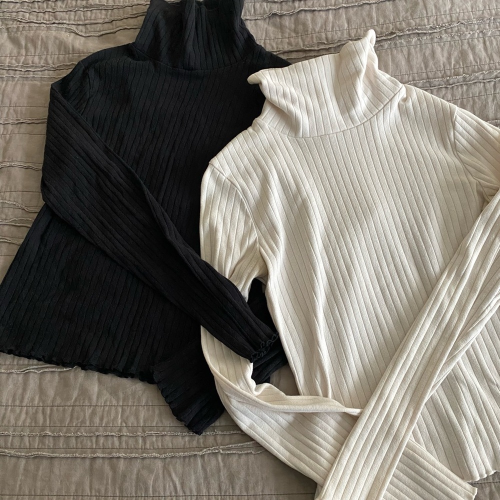 Wild Fable Ribbed Turtleneck Sweater - Black and Cream